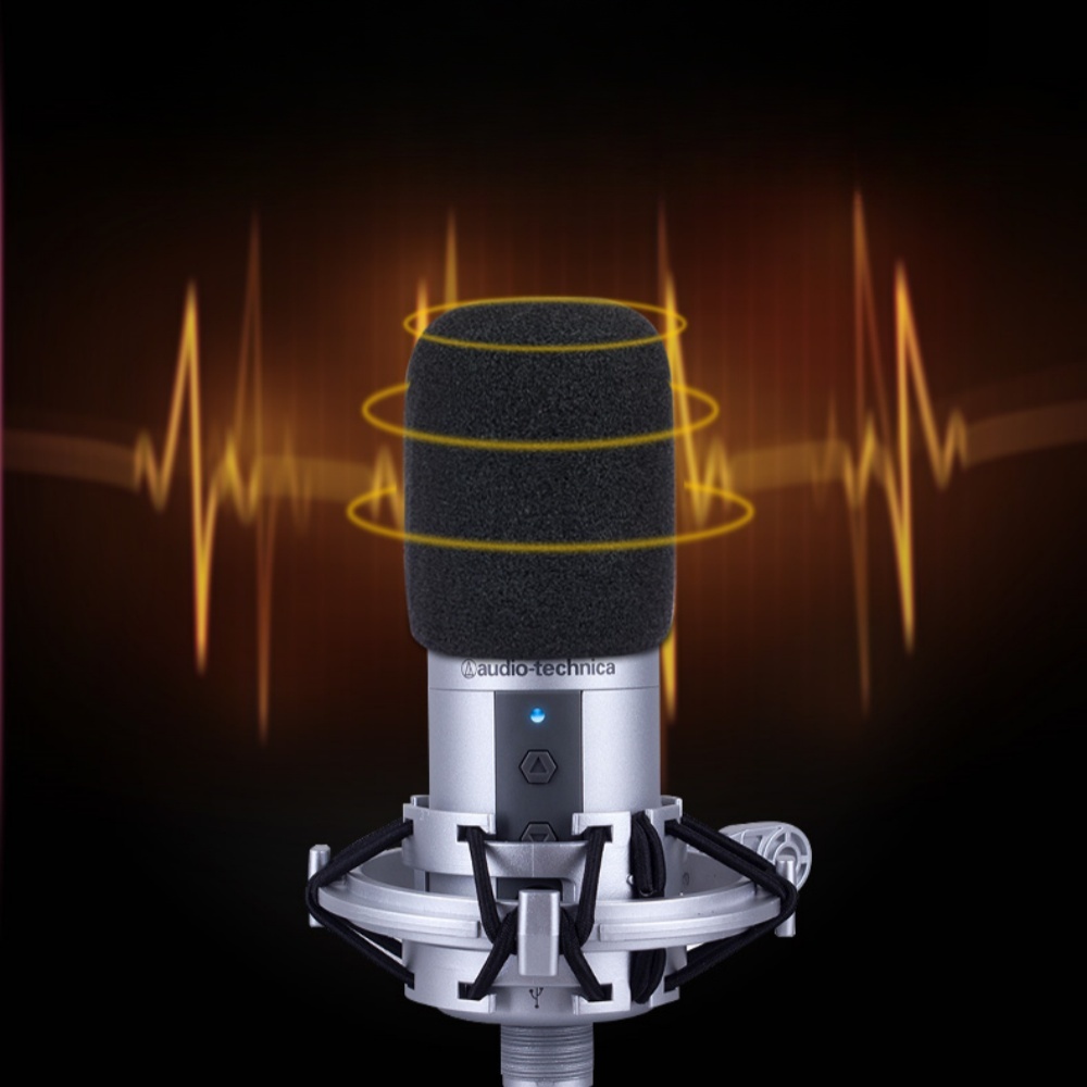 2PCS AT2020 Microphone Windscr - огляд і ціна Microphone Capsule