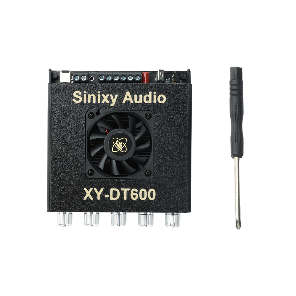 XY Dt600 2.1CH Bluetooth Power - огляд і ціна Es9018 Dac