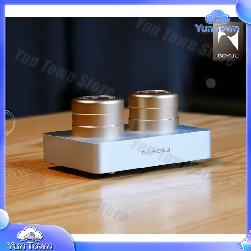 for Boyuu BYPT2T for Reisong P - огляд і ціна Passive Preamp