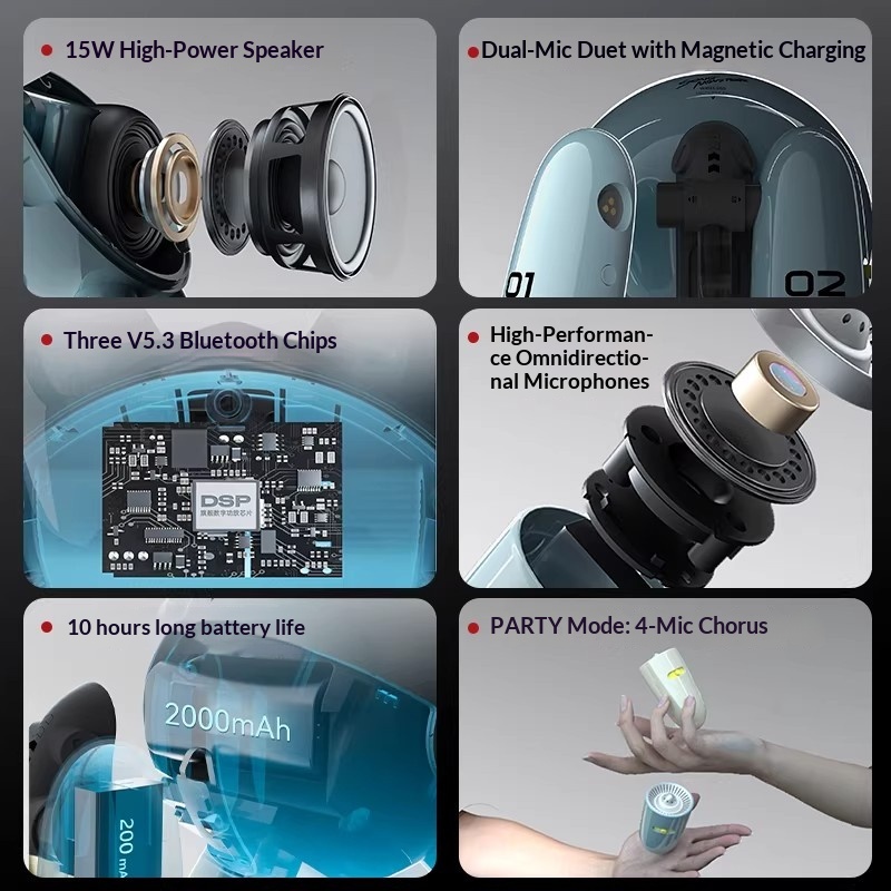 SONGX Audio Dual Microphone Du - огляд і ціна Full Range Speaker